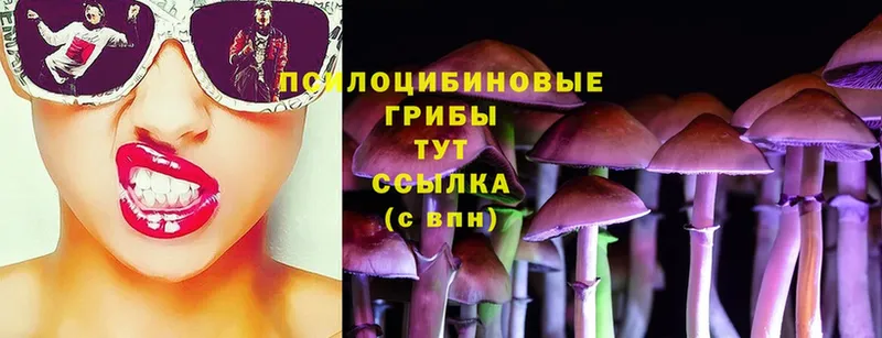 blacksprut сайт  купить  сайты  Спас-Клепики  Псилоцибиновые грибы Psilocybine cubensis 